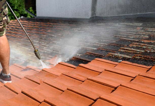 Best Pressure Washing Near Me  in Penryn, CA